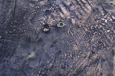 Similar image 1806367