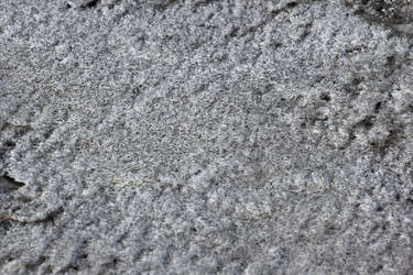 Similar image 1806383