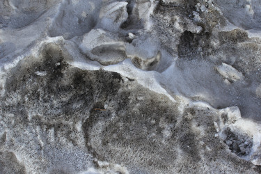 Similar image 1806384