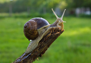 Similar image 1806435