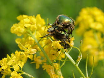 Similar image 1806436