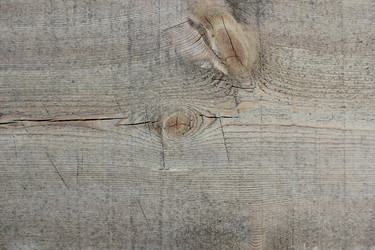 Similar image 1806519