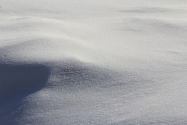 Similar image 1806522