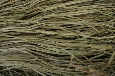 Similar image 1806581