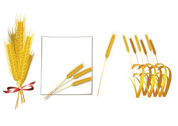 Similar image 1806692