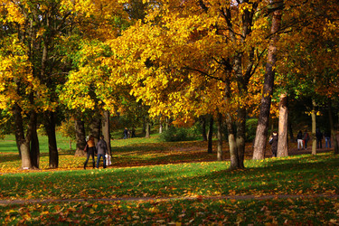 Similar image 1806875