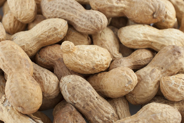 Similar image 1806966