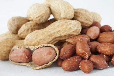 Similar image 1806968