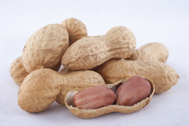 Similar image 1806970