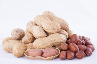 Similar image 1806972