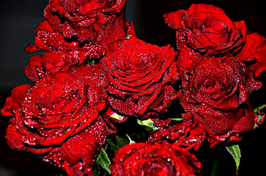 Similar image 1806976