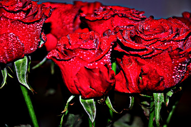 Similar image 1806977