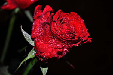 Similar image 1806993