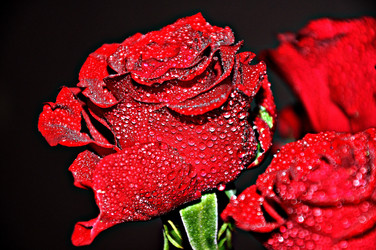 Similar image 1806994