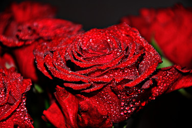 Similar image 1806996