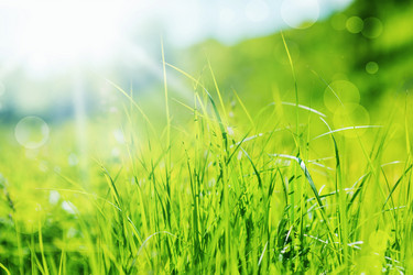 Similar image 1807011