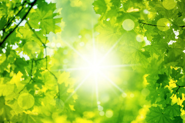 Similar image 1807013