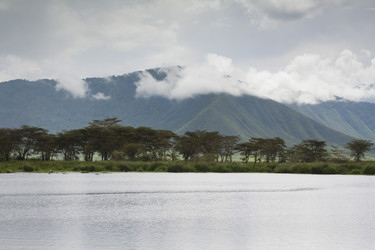 Similar image 1807080