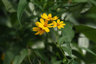 Similar image 1807082