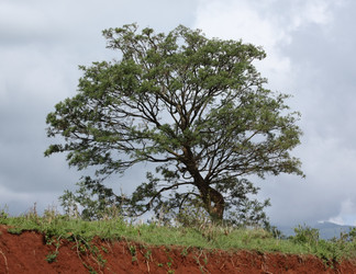 Similar image 1807083