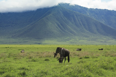 Similar image 1807084