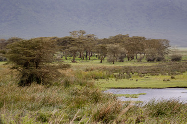 Similar image 1807085