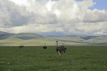 Similar image 1807099