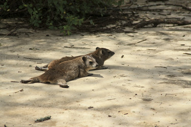 Similar image 1807101