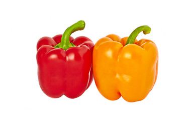 Similar image 1807119