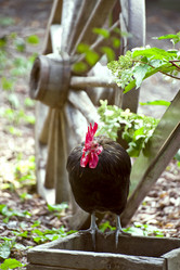 Similar image 1807222