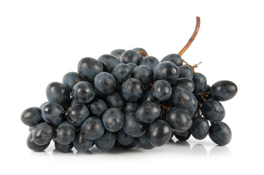 Similar image 1807239