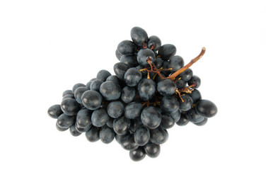 Similar image 1807240