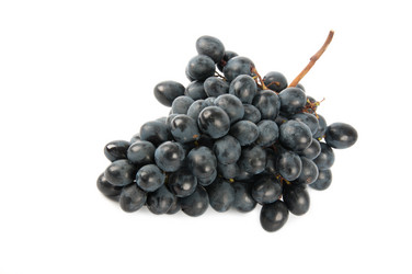 Similar image 1807242