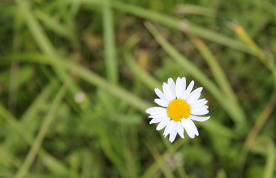 Similar image 1807384