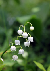 Similar image 1807385