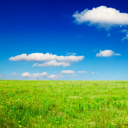 Similar image 1807395