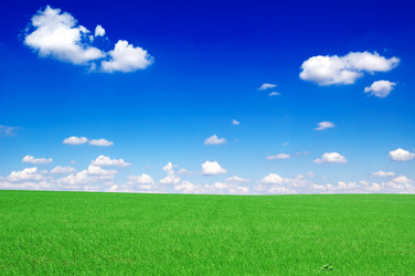 Similar image 1807429