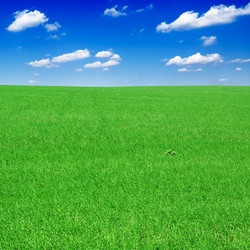 Similar image 1807430