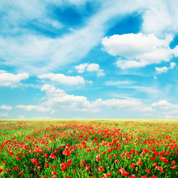 Similar image 1807444