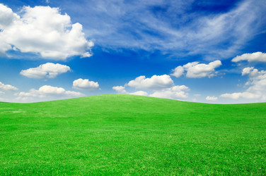 Similar image 1807449