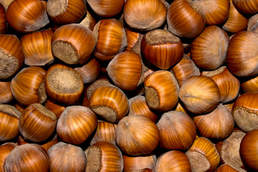 Similar image 1807587