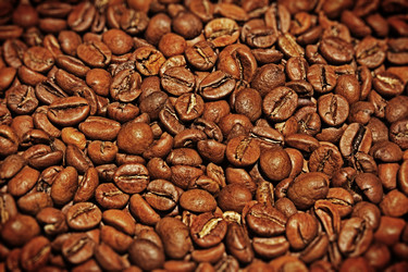 Similar image 1807589