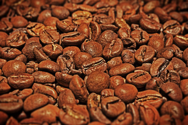 Similar image 1807590