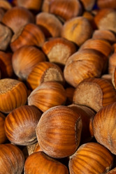 Similar image 1807593