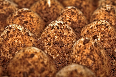 Similar image 1807606