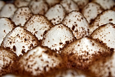 Similar image 1807617