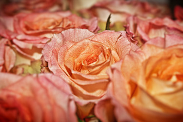 Similar image 1807619