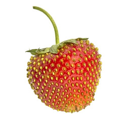 Similar image 1807625