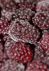 Similar image 1807628