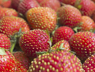 Similar image 1807633